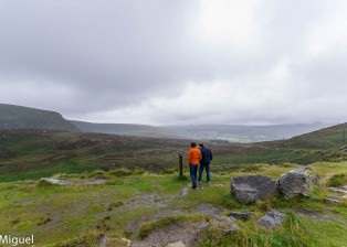 Erster Eindruck im Wicklow Mountain National Park